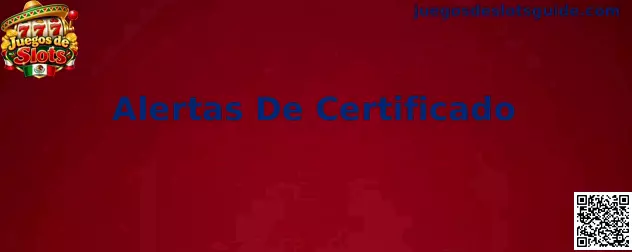 Ejemplo de alerta de certificado en navegador